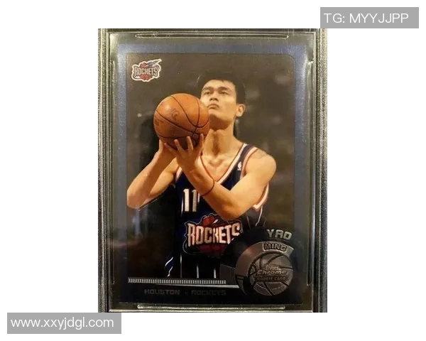 大宅门中的姚明传奇与篮球梦想交织的故事探秘