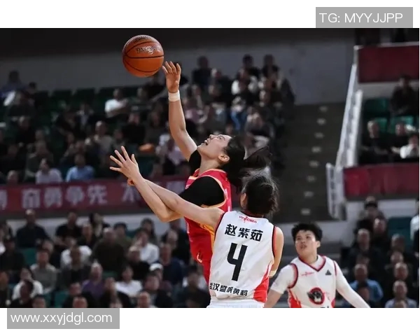 张茹心中篮球明星与其他明星的情感抉择与追逐之路