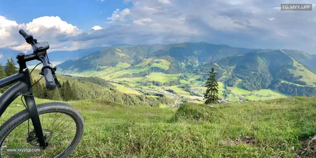 随时随地,赛事直播不缺席!📱